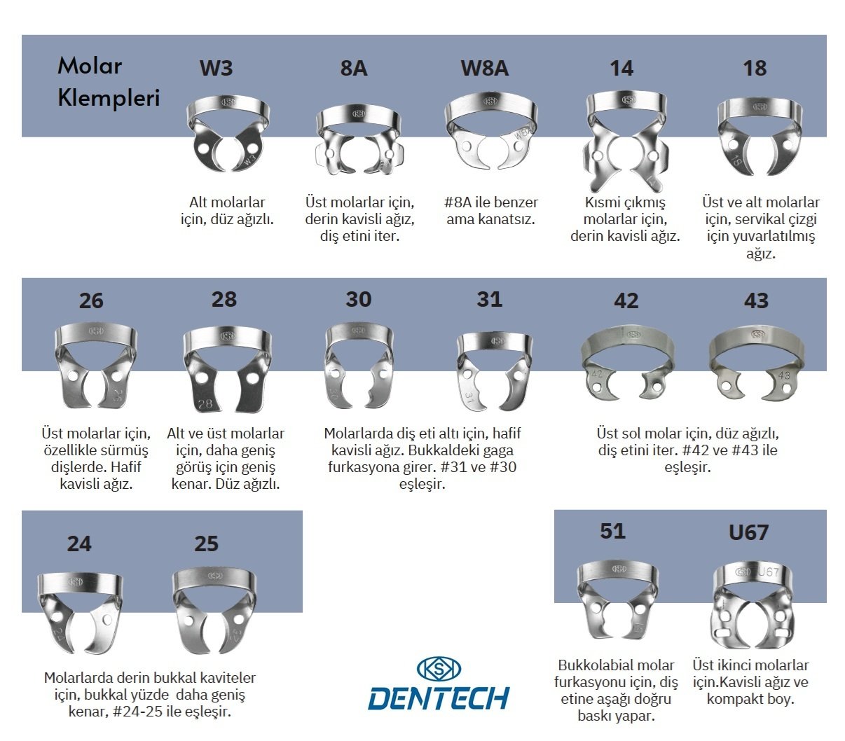 KSK Klemp Molar
